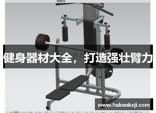 健身器材大全,打造强壮臂力 健身器材大全,打造强壮臂力