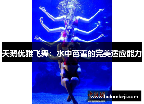 天鹅优雅飞舞:水中芭蕾的完美适应能力 天鹅优雅飞舞:水中芭蕾的完美适应能力