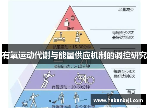 有氧运动代谢与能量供应机制的调控研究